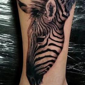 Zebra Tattoo Design Thumbnail